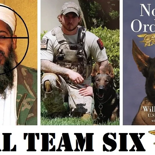 No+Ordinary+Dog+6